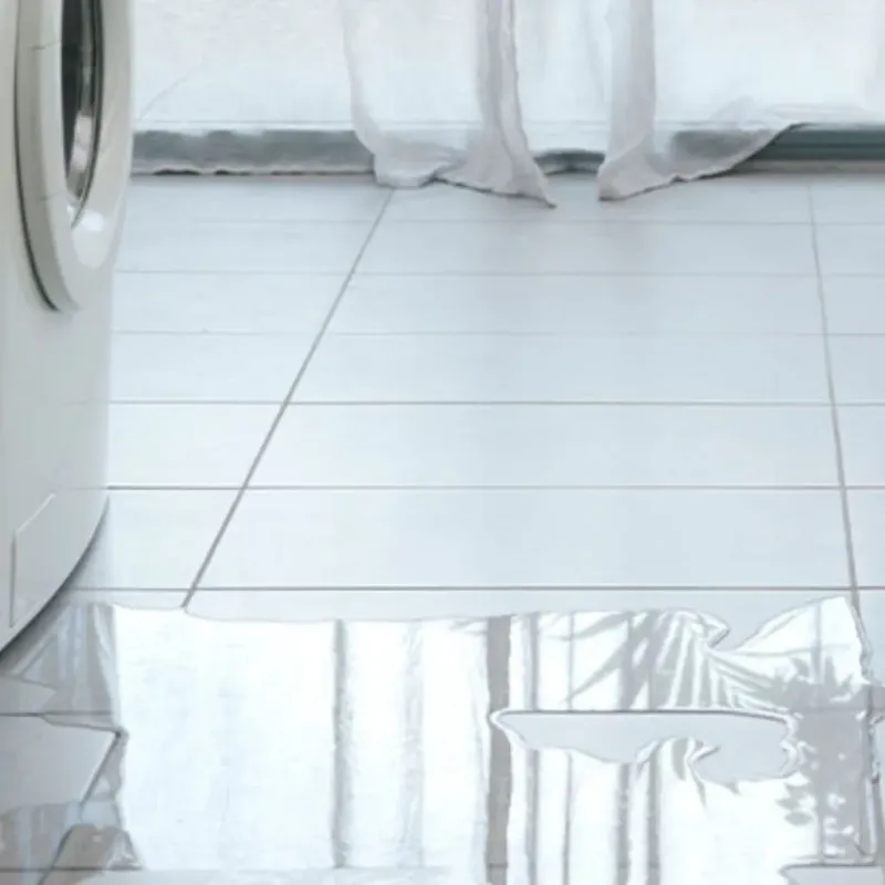Appliance Leak Cleanup in Genesee County, NY