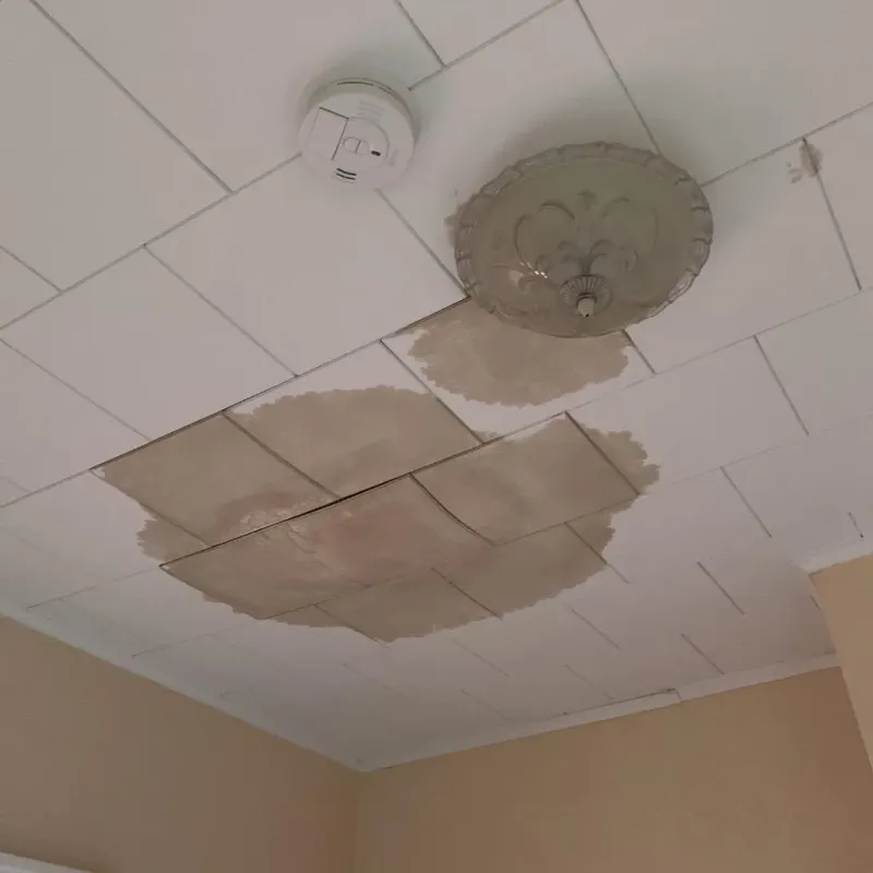 Ceiling Water Damage Repair in Genesee County, NY