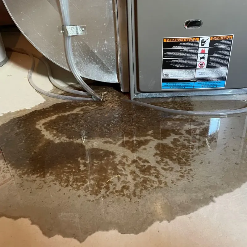Pipe Burst and Leak Restoration in Genesee County, NY