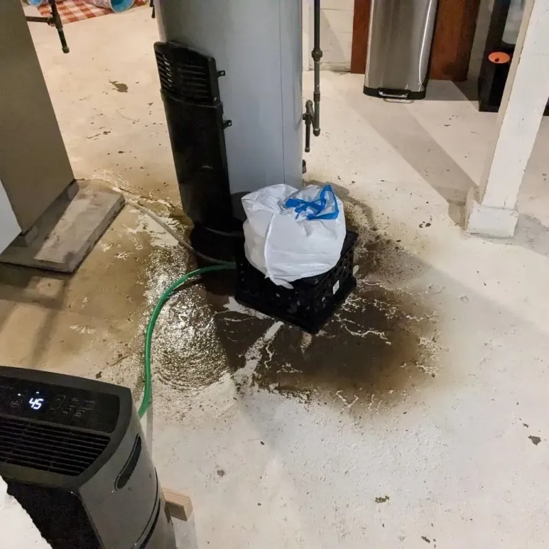 Sewage Backup Cleanup Service in Genesee County, NY